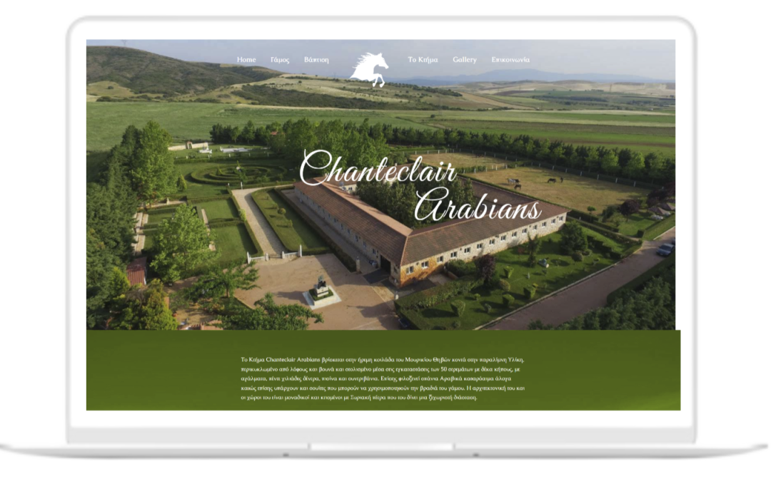 Chanteclaire Arabians