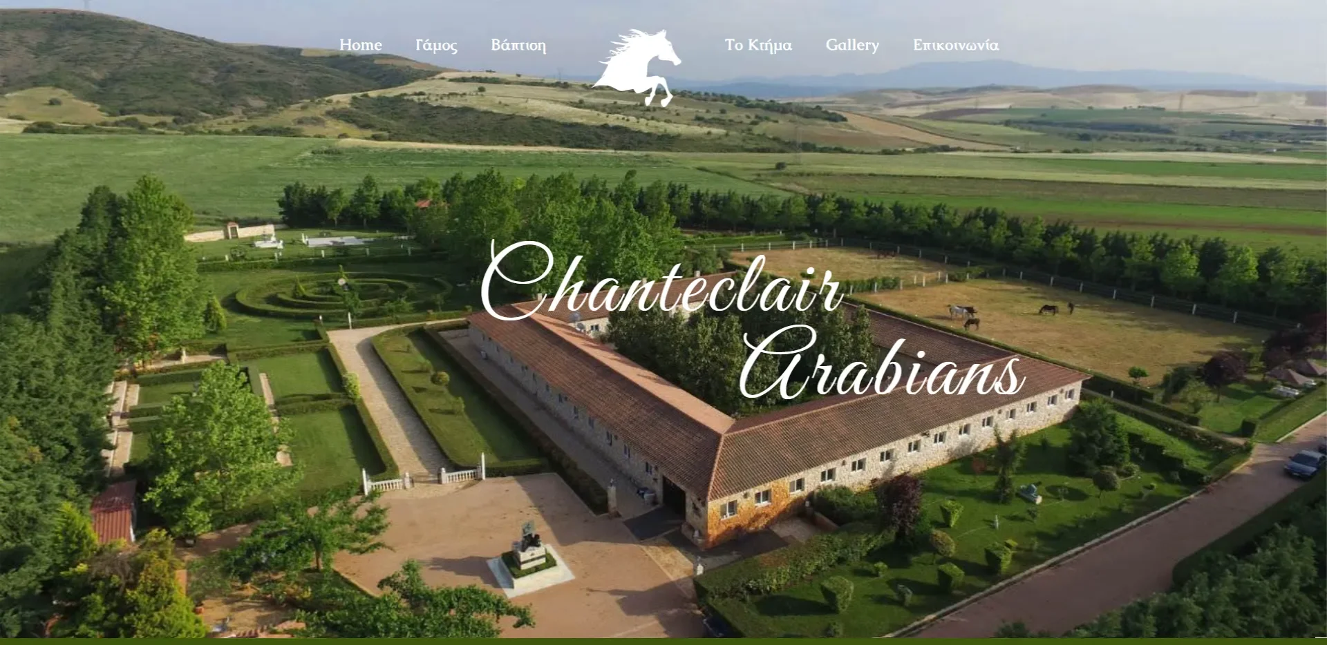 rockmedia chanteclaire arabians portfolio page social