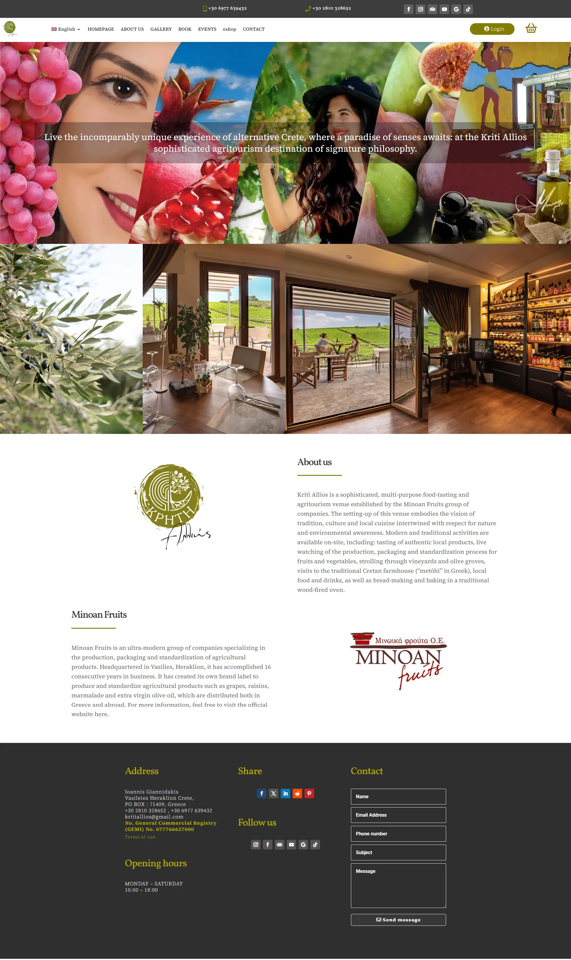 rockmedia kriti allios portfolio page about